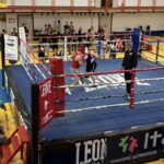 Fight Night League