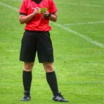 Un Arbitro in azione