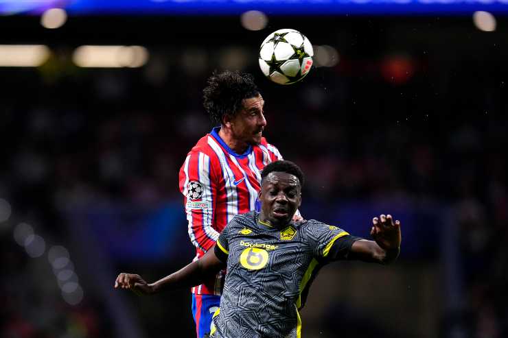 Bayo in azione