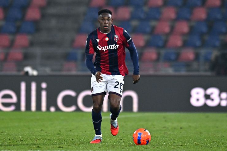 Lucumí in primo piano