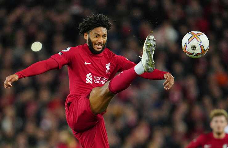 Joe Gomez
