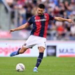 Erlic in azione