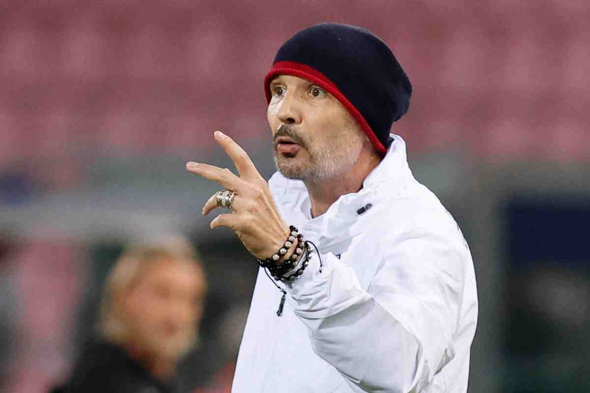 Mihajlovic