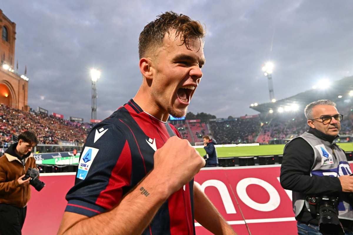 Primo piano Dallinga