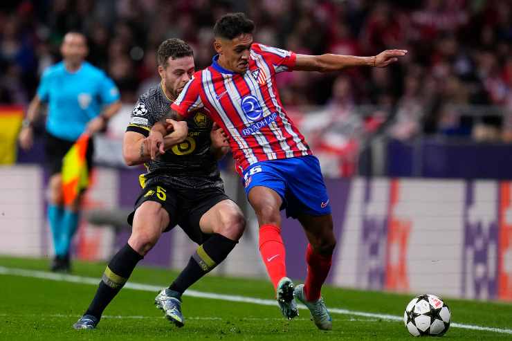 Molina in azione